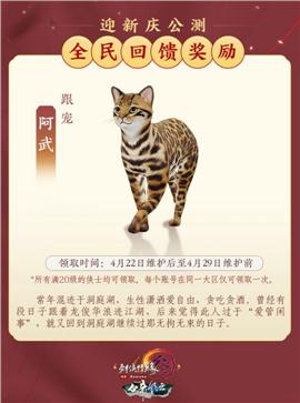 天龙八部私服遮天版本